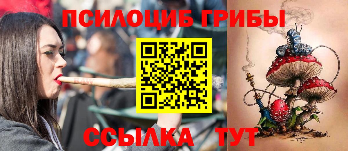 Галлюциногенные грибы мицелий Сергиев Посад