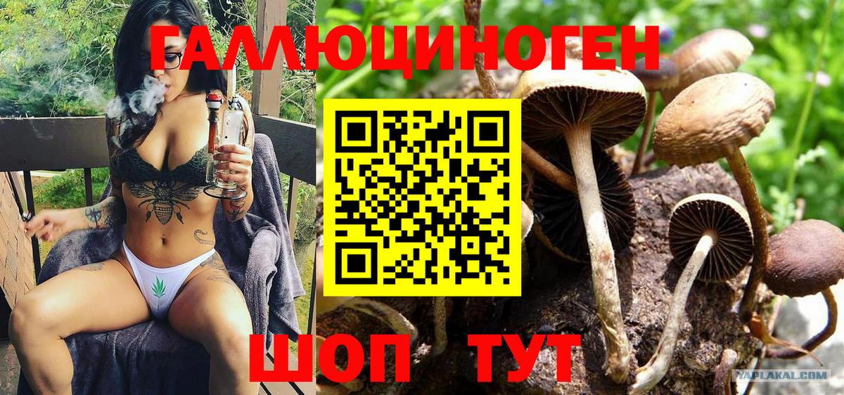 где можно купить наркотик  Вход с VPN  Сергиев Посад  Галлюциногенные грибы MAGIC MUSHROOMS 