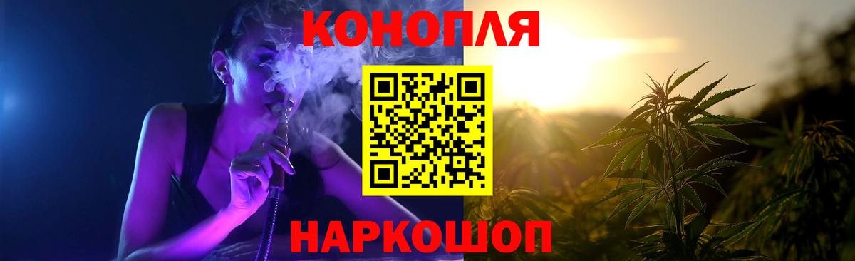Бошки Шишки планчик Сергиев Посад